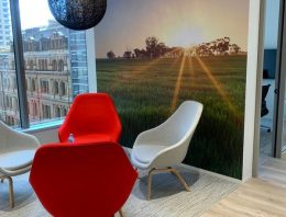 Office feature wall graphic with landscape artwork in a modern meeting area